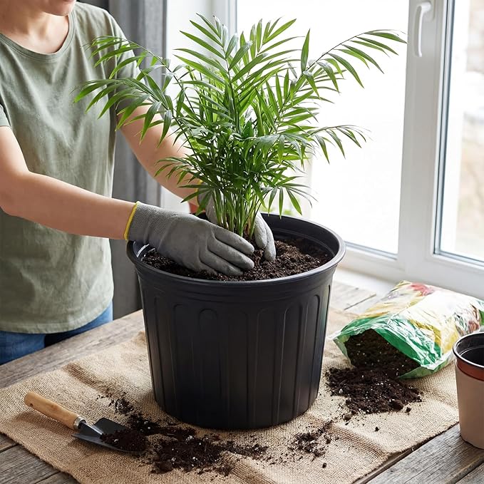20 Pcs 5 Gallon Plant Nursery Pots Bulk Plastic Planter Flexible Flower Seedlings Pot with Drainage Hole Thickened Seed Starting Container for Flower Succulents Cuttings Transplanting