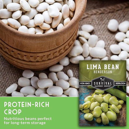 Lima Bean Seeds for Planting – Henderson Butter Bean Seeds for Gardens & Classroom Science Projects, Easy to Grow Non-GMO Heirloom Variety - Survival Garden Seeds (3 Packs)