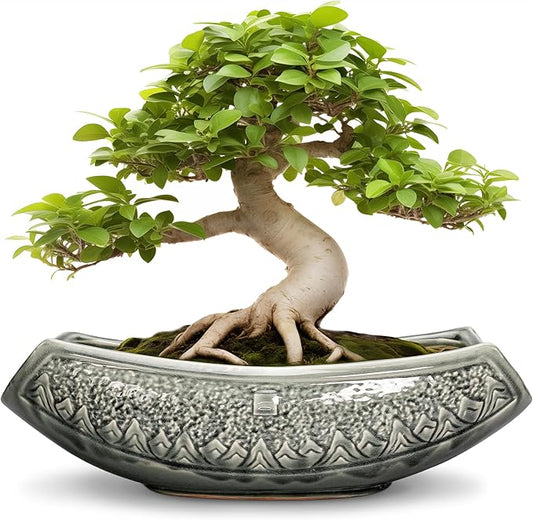 Bonsai Pots 18 Inch - Ceramic Succulent Pots, Large Bonsai Planter for Indoor Outdoor Plants, Decorative Plant Pot with Drainage Hole, Ceramic Flower Pot, House Decor, Plant Lover Gifts, Grey