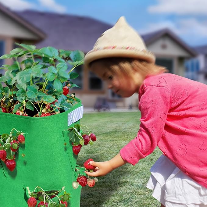 BenefitUSA Garden Planting Bag Grow Felt Fabric Planter Bag Strawberry and Herb Plant Tub 1/2/3/5 Pack (2)