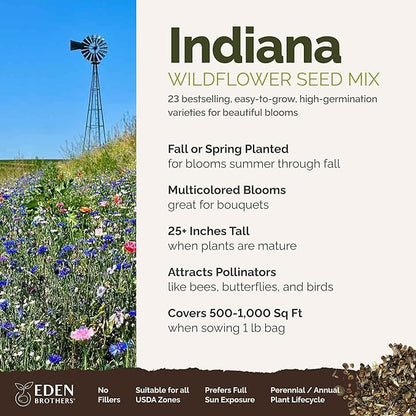Eden Brothers Indiana Wildflower Mixed Seeds for Planting, 1 lb, 480,000+ Seeds with Sweet William, Cornflower | Attracts Pollinators, Plant in Spring or Fall, Zones