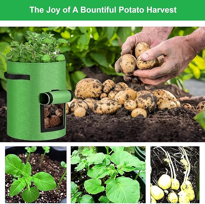 Potato Grow Bags,(5 Pack 10 Gallon) Garden Vegetables Growing Planter with Handles and Access Flap for Planting Potato Carrot Onion Taro Radish Peanut, (Green)