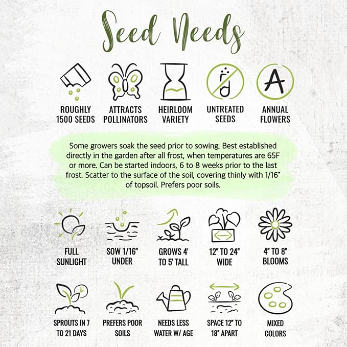 Seed Needs Cleome Seeds for Planting Spider Plants - Heirloom & Open Pollinated Wildflower Seeds to Grow a Butterfly Garden to Attract Pollinators (1 Pack)