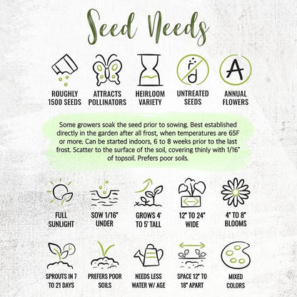 Seed Needs Cleome Seeds for Planting Spider Plants - Heirloom & Open Pollinated Wildflower Seeds to Grow a Butterfly Garden to Attract Pollinators (1 Pack)
