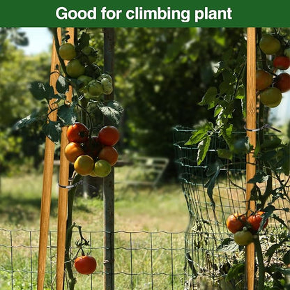 Strong Bamboo Sticks for Plants,18 Inch Tall Bamboo Poles for Plants, Plant Stakes for House Outdoor Indoor, Wood Garden Stakes for Potted Tomato Flower, 12 Pieces Long Wooden Rods Heavy Duty Support