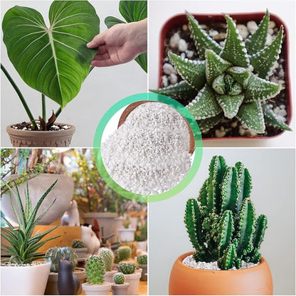 Legigo 8 Quarts Organic Horticultural Perlite for Plants Indoor- Natural Horticultural Soil Additive Conditioner Mix for Improves Drainage, Ventilation and Root Growth