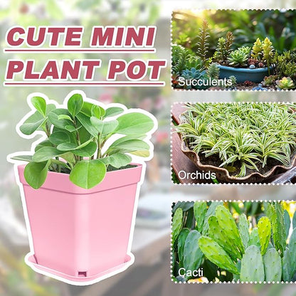 Anyumocz 70 PCS 3" Colorful Plastic Plant Pots,Plastic Square Nursery Pot,Seedling Nursery Pots with Saucers for Indoor Outdoor Plants,Garden,Flower,Home,Office,Balcony Decor