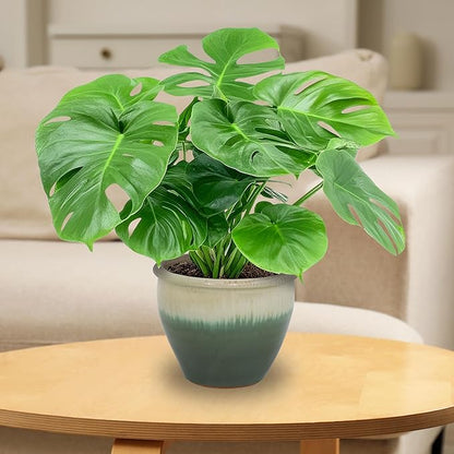 Sunnydaze Round Ceramic Planter - Set of 2 Indoor or Outdoor Plant Pots with Drainage Hole - Chalet - 12" - Seafoam Glaze