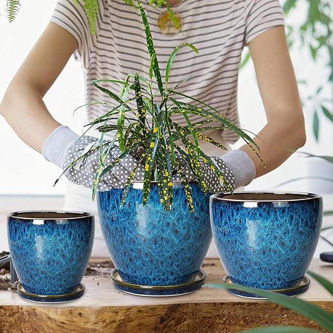 Plant Pots Indoor, Ceramic Planters Pots with Drainage Holes and Saucers, 10+8+6 Inch, Set of 3, Round Large Flower Pots for Indoor Outdoor Plants, Blue
