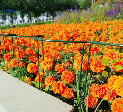 12 Pack 24 Inch High Plant Stake,Garden Plant Support,Half-Round Peony Cage Plant Ring Hoop