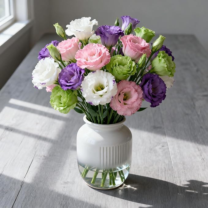 300+ Lisianthus Flower Seeds for Planting, Mixed Color Annual Lisianthus Seeds, Non-GMO Thornless Lisianthus Flowers Seed for Home Garden Outdoor