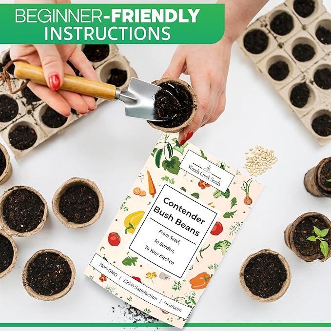 Contender Bush Bean Seeds – Heirloom Non-GMO Green Snap Bean Seeds for Planting, Early Stringless Bush Beans for Vegetable Gardens | Woods Creek Seeds