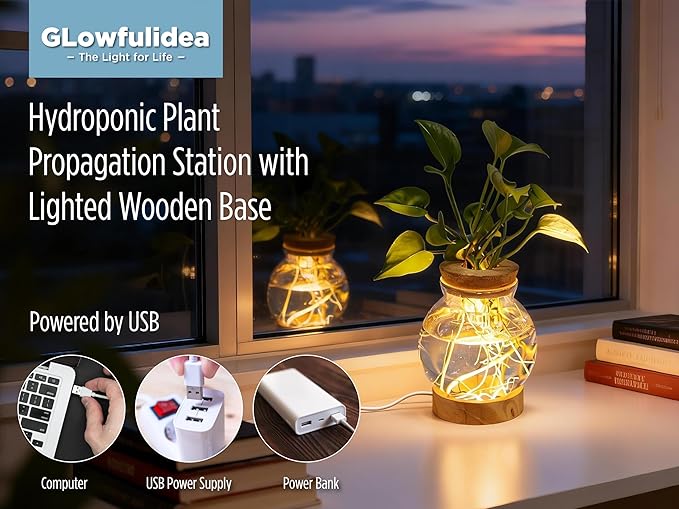 Plant Propagation Station with Light, Glass Planter Station with Waterproof Lighted Wooden Base, Desktop Hydroponic Plants Terrarium, Round Glass Planter for Home Decor & Office Decor