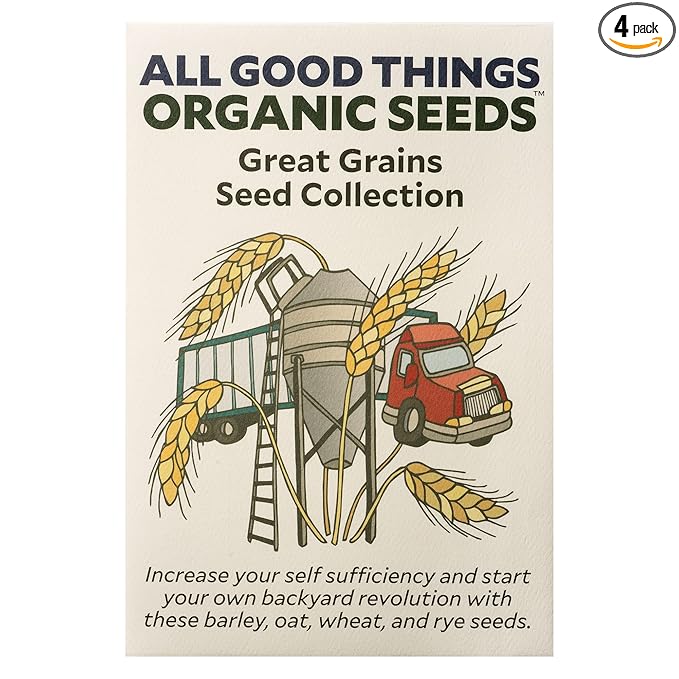 All Good Things Organic Great Grains Seeds for Planting: 4 Packet Collection - Barley, Oat, Rye, Wheat - Heirloom Variety Pack