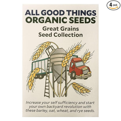 All Good Things Organic Great Grains Seeds for Planting: 4 Packet Collection - Barley, Oat, Rye, Wheat - Heirloom Variety Pack