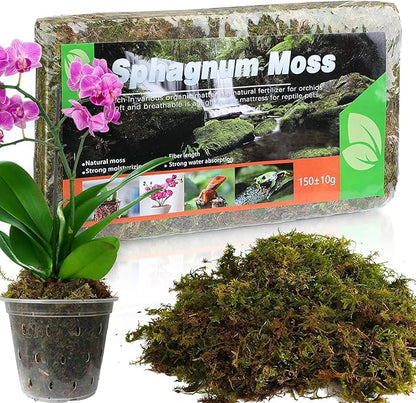 Dried Forest Moss for Plants (5 qt / 1 Pack), Sphagnum Potting Moss for Various Plants, Including Orchids, Carnivorous Plants, Succulents, Garden Flowers, and Reptiles