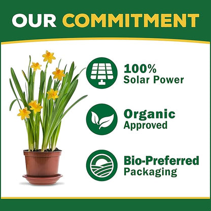 Espoma Organic Bio-Tone Starter Plus 4-3-3 Natural & Organic Starter Plant Food with Both Endo & Ecto Mycorrhizae; 4 lb. Bag; The Ultimate Starter Fertilizer - Pack of 1