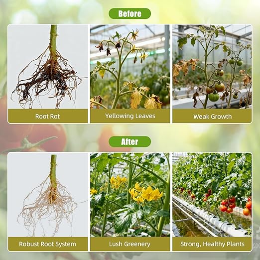 A&B Plant Fertilizer, 250ML Hydroponics Nutrients & Potting Soil Food - Easy-Mix Liquid Plant Food for Healthier, Lush Potted Houseplants, Herbs, and Hydroponics Growing System