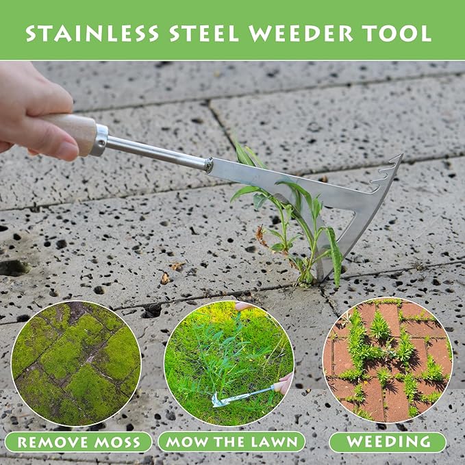 Crack Weeder, 13.4" Stainless Steel Crevice Weeding Tool with Wood Handle, L-Shaped Side-Walk Weed Puller Spatula, for Garden Lawn Yard Patio Terrace Paving Moss, Small Gardening Tool