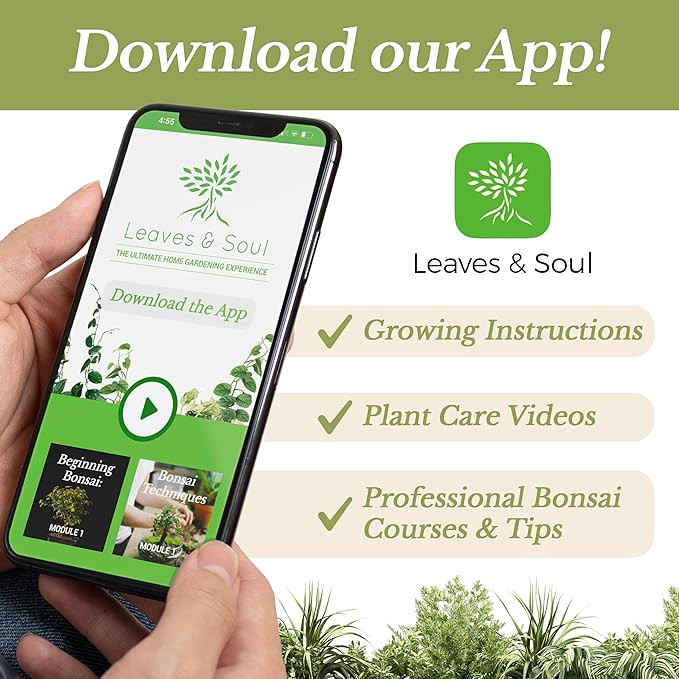 Professional Snake Plant Soil | Large 2.2 Quarts Ready to Use for Snake Plants | Peat Moss, Coco Coir, Perlite, Dolomite | Made in USA