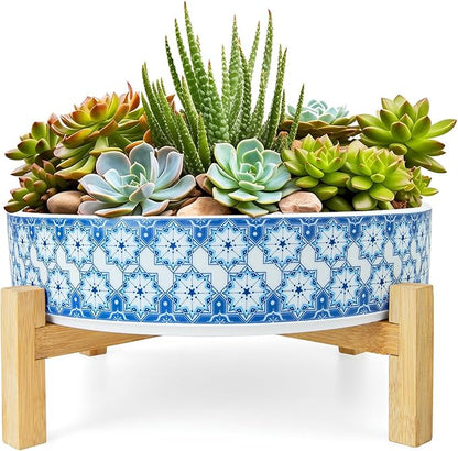 ARTKETTY Succulent Pots - 11 Inch Large Plant Pots Ceramic Bonsai Pots with Drainage Stand, Shallow Succulent Planters for Indoor Plants Decorative Flower Cactus Planter Bowl