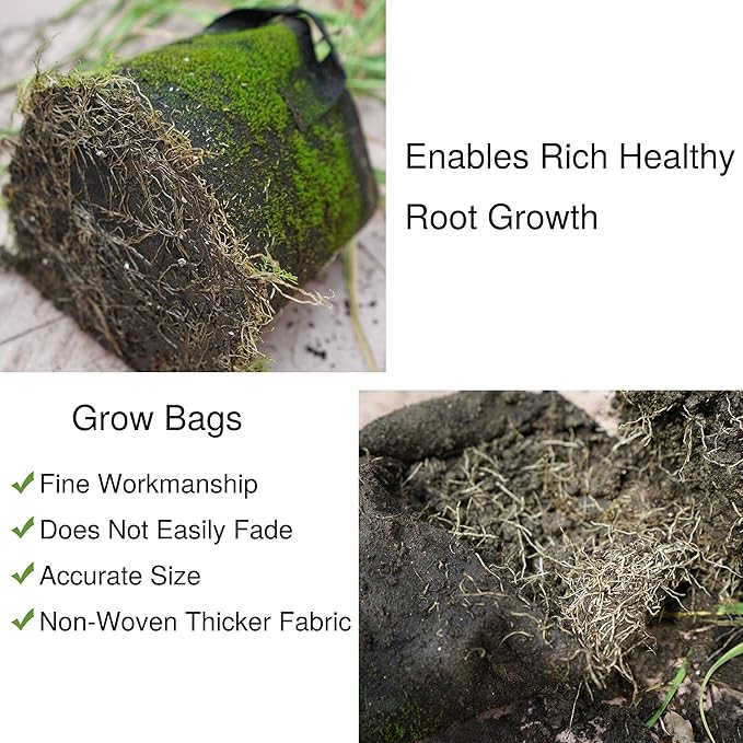 FiveSeasonStuff Grow Bags, Heavy Duty Fabric Pots (12 Pack 2 Gallons (Khaki))