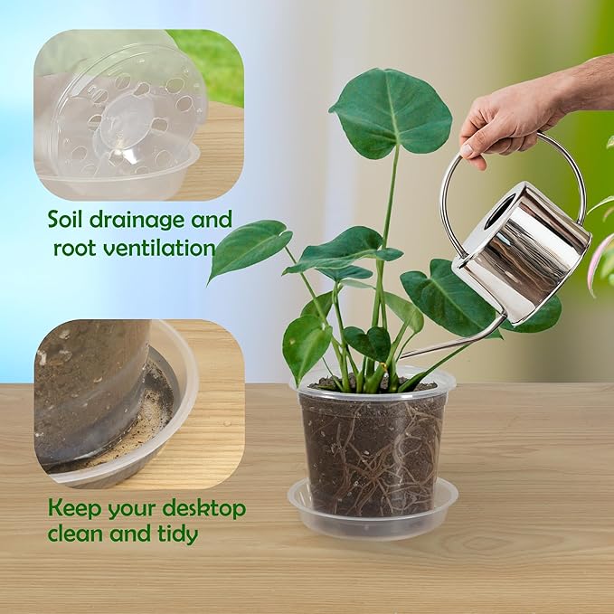 20 Pack 6 Inch Clear Nursery Pots with Drainage and 20 Pack Plant Saucers, Plant Pots for Plants Transparent Potting Containers for Plants Seeding Starter Pot (Clear, 6 Inch)