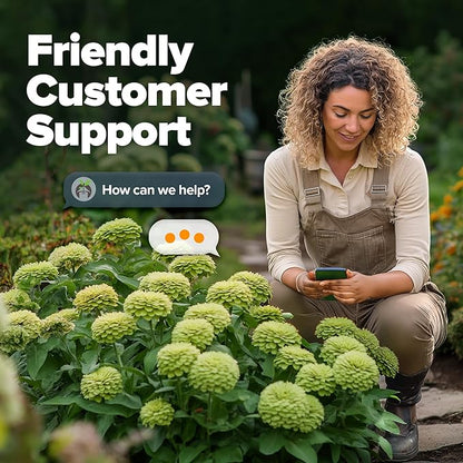 HOME GROWN Envy Zinnia Seeds (1g) – 4300 Rare Lime Green Annual Zinnia Flower Seeds for Planting, Fast-Growing Bulk Variety, Premium Herb Seeds Garden Companion for 2026 Blooms (Zinnia elegans)