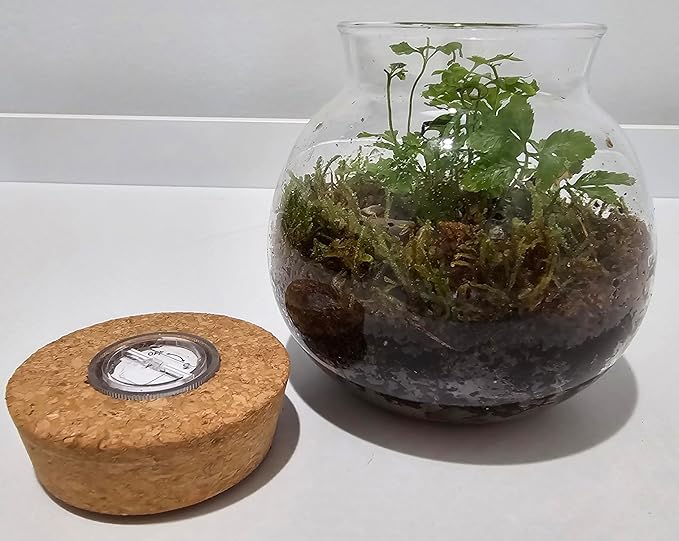 Silver Circle Products Unique Gardener: Glass Terrarium - 4'' with Cork & 3 LEDs - Light Up Cork, Gardening Planter, Glass, for Succulents, Flowers, Herbs & More