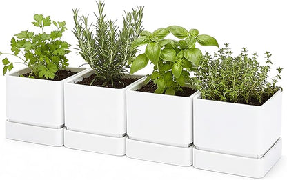 D'vine Dev 6 Inch Herb Planter Pot, Plastic Planter with Drainage Holes and Saucer, Modern Decorative Gardening Pot for Indoor Plants, Flowers, Herbs, Succulents, White, Set of 4, 76-Y-A4-2