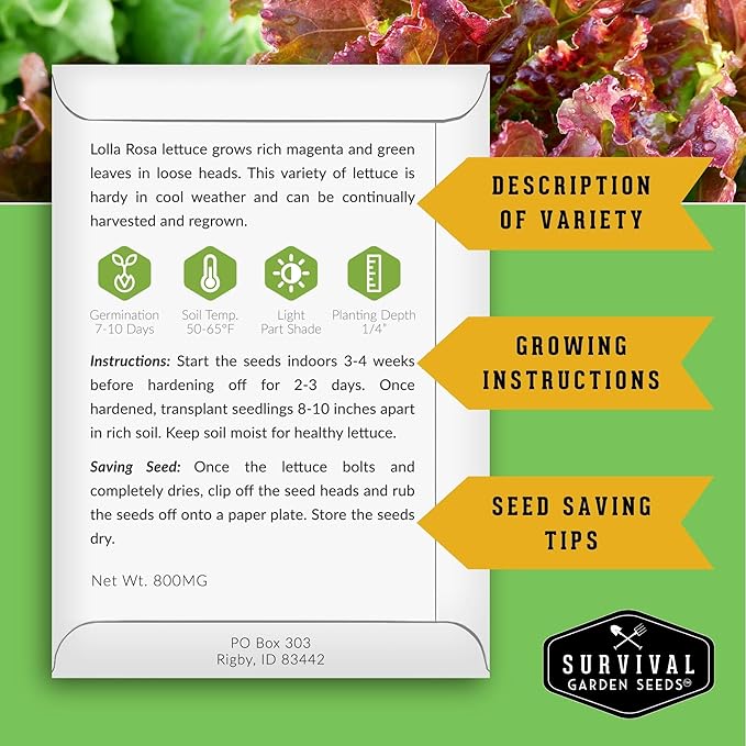 Lettuce Seeds for Planting | 10 Heirloom Lettuces – Buttercrunch, Romaine, Iceberg, Oakleaf, Simpson, Salad Bowl, Lolla Rossa & More | Survival Garden Seeds