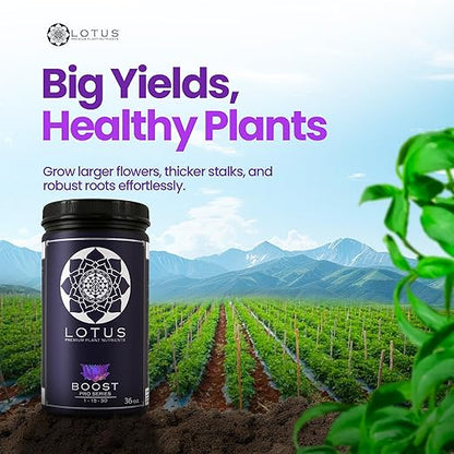 Boost Pro Series Bloom Booster and Yield Enhancer, Boost Any Plant Feeding Recipe for Turbo-Charged Flower Density/Oil Production, Amino Nitrogen Formula for Soil, Hydroponics and Coco Coir - 36 oz