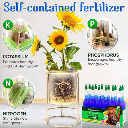 All-Purpose Liquid Plant Food Fertilizer (12-Pack) | Indoor House Plants & Outdoor Flowers | Bloom Booster Nutrient Solution for Vibrant Growth & Strong Roots | Made in The USA