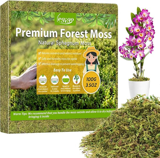 Legigo 3.7OZ Sphagnum Moss for Plants, 4QT Natural Orchid Moss Potting Mix Dired, Green Forest Plant Moss for Orchid Repotting Carnivorous Succulents Indoor Potted Plants Gardening and Reptiles