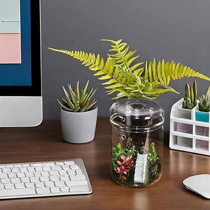 Small Glass Terrarium Jar with Lid – 4.7 x 7 Inch Closed Plant Terrarium for Succulents, Moss, Venus Fly Trap & Self-Sustaining Ecosystems – Ideal Indoor Decor for Home & Tabletop