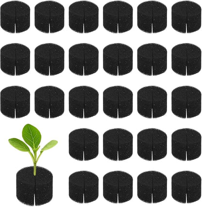 30-Pack Hydroponics Sponges, 1.57 Inch Growing Media Cylindrical Sponges for Planting Gardening Tool/Grow Seedlings/Home Vegetable Flower, Soilless Cultivation Seedling [Black]