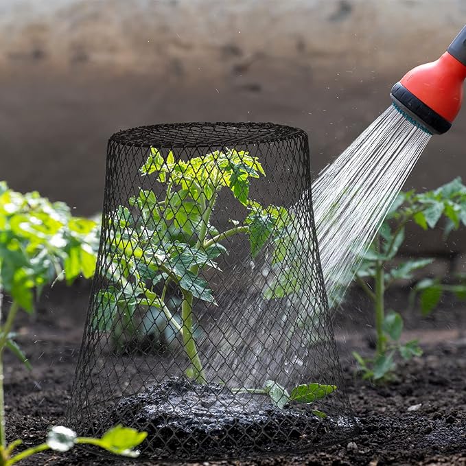 Geosar 20 Pcs 9 inch Chicken Wire Cloche Plant Protector Cover Metal Garden Cloche Dome for Plants Chicken Wire Protection Basket with Garden Stakes for Avoiding Rabbit Bird Small Animals Eat (Black)