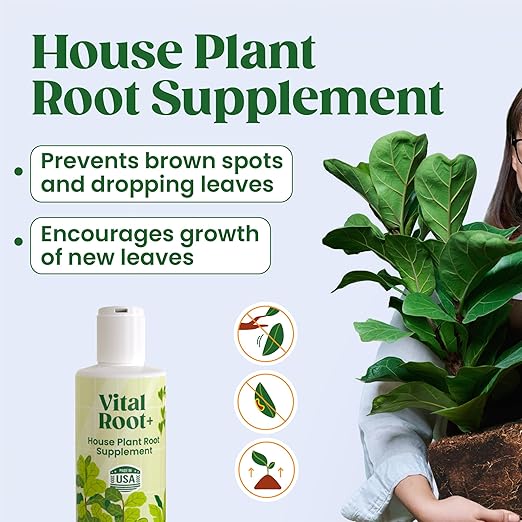 Root Supplement, Liquid Stimulator for Fiddle Leaf Fig & Indoor Plants - Propagation Promoter & Rot Treatment - Food for Healthy Roots, Stems & Leaves - Made in USA