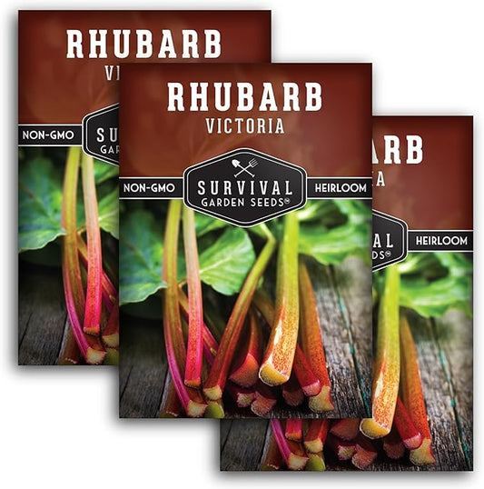 Victoria Rhubarb Seeds for Planting - Grow Cold-Tolerant Perennial Spring Fruit/Vegetables in Your Home Garden - Non-GMO Heirloom Variety - Survival Garden Seeds (3 Packs)