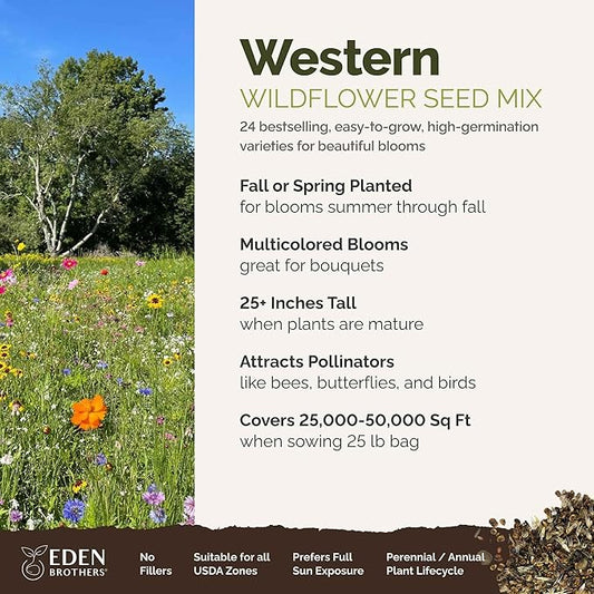 Eden Brothers Western Wildflower Mixed Seeds for Planting, 25 lb, 12,000,000+ Seeds with Cornflower, Blanket Flower | Attracts Pollinators, Plant in Spring or Fall, Zones 3, 4, 5, 6, 7, 8, 9, 10