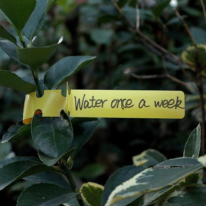 200 Pcs Plant Labels Tags, Plastic Markers Tree Tags for Outdoor, Waterproof Warp Around Hanging Name Tags for Nursery Garden (Yellow)