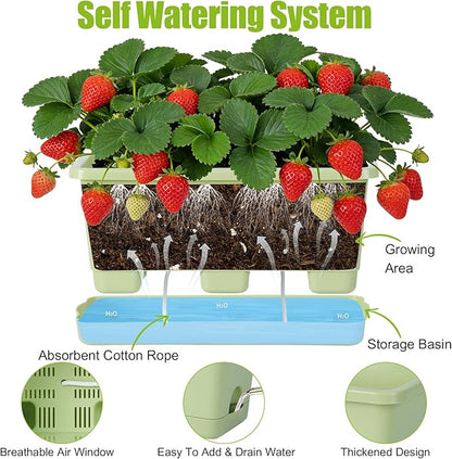 Window Box Planter 6 Packs, 13.8 Inches Rectangle Flower Pots with Drainage Holes & Trays, Pots for Vegetables, Herbs, Flowers, Garden Windowsill Balcony (Green)