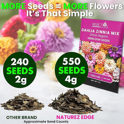NatureZ Edge Zinnia Seeds for 2026 Planting Outdoors, Over 550 Flower Seeds, 4g, Non GMO Made in USA, Bulk Semillas De Flores para Sembrar, Dahlia Mix, Easy to Grow Zinnia Seed Mix