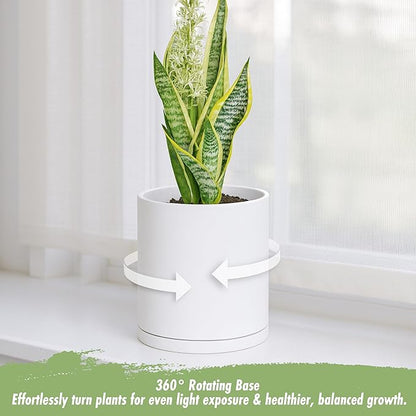 D'vine Dev Double-Layer Planter Set – Rotating Plastic Cachepot with Clear Inner Liner for Root Health, Perfect for Indoor Plants, 6.5", White, 73-U-A-2