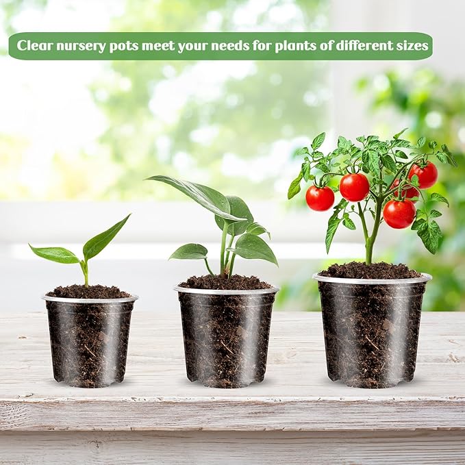 Wironlst 36 Packs 3.5/4/5 Inch Clear Nursery Pots for Plants, Transparent Plastic Pots for Plants with Drainage Holes Durable Seed Starter Pot Flower Pots with 36 Plant Labels