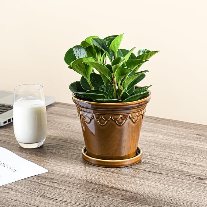 6.3 Inch Ceramic Planter, Plant Pot with Drainage Hole and Saucer, Decorative Glaze Flower Pot for Indoor Plants (Caramel)