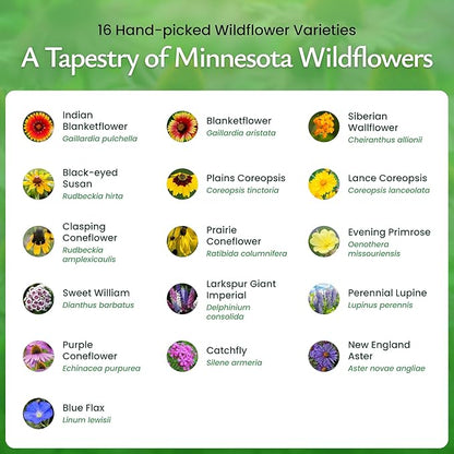 Created By Nature Minnesota Wildflower Seed Mix, 16 Flower Varieties, 40,000+ Seeds