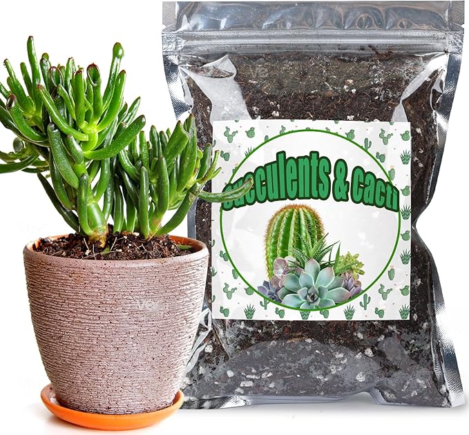 Cactus & Succulent Soil Mix 2qt, Chunky Well-Draining Soil for Indoor Plants - Spike & Bloom