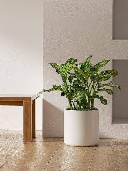 LE TAUCI 12 Inch Pot for Plants, Ceramic Planters for Indoor Plants, Mid-Century Modern Cylinder Flower Pots with Drainage Hole, Fits Fiddle Leaf Fig & Monstera, Home Decor, White