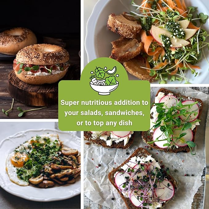 Sow Right Seeds - Large Microgreens Seed Collection - 10 Microgreen Variety Indoor Garden Packets with Superfood Seeds for Kitchen Counter Sprouting & Growing - Ideal for Indoor Gardening